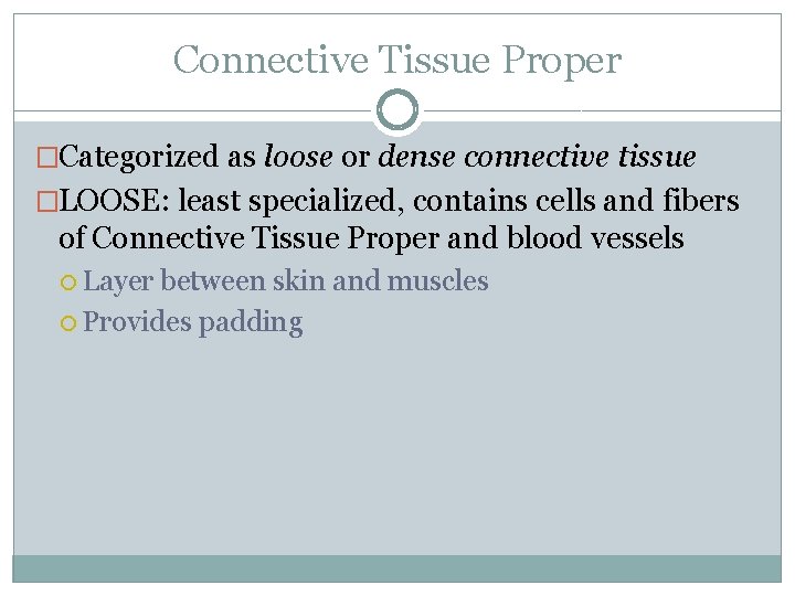Connective Tissue Proper �Categorized as loose or dense connective tissue �LOOSE: least specialized, contains Connective Tissue Proper �Categorized as loose or dense connective tissue �LOOSE: least specialized, contains