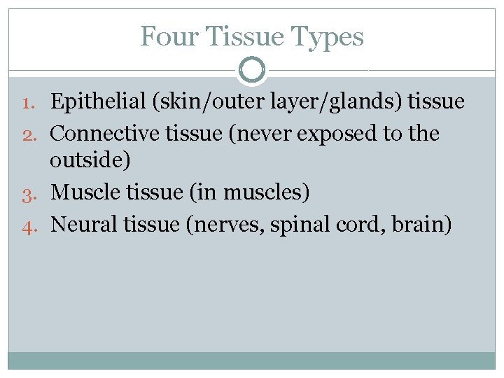 Four Tissue Types 1. Epithelial (skin/outer layer/glands) tissue 2. Connective tissue (never exposed to Four Tissue Types 1. Epithelial (skin/outer layer/glands) tissue 2. Connective tissue (never exposed to