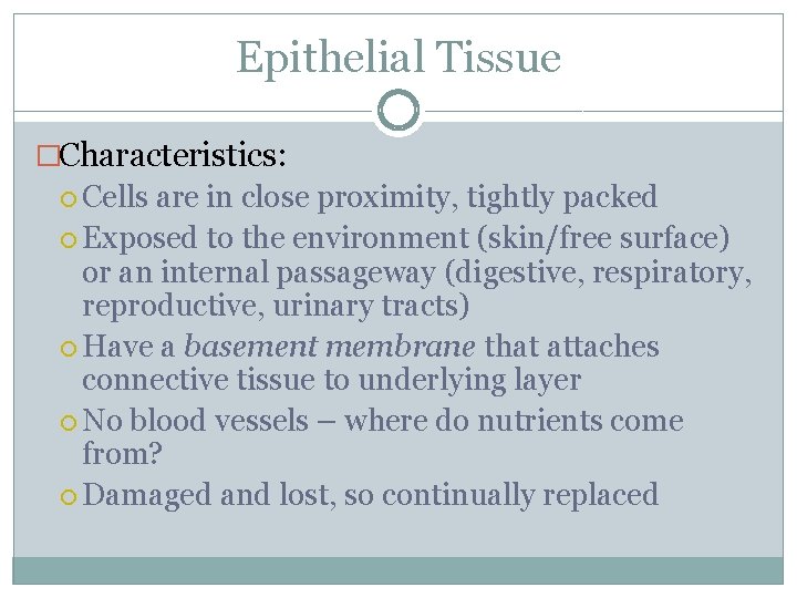 Epithelial Tissue �Characteristics: Cells are in close proximity, tightly packed Exposed to the environment Epithelial Tissue �Characteristics: Cells are in close proximity, tightly packed Exposed to the environment