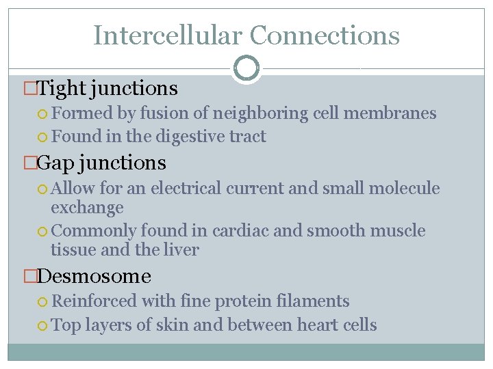 Intercellular Connections �Tight junctions Formed by fusion of neighboring cell membranes Found in the Intercellular Connections �Tight junctions Formed by fusion of neighboring cell membranes Found in the