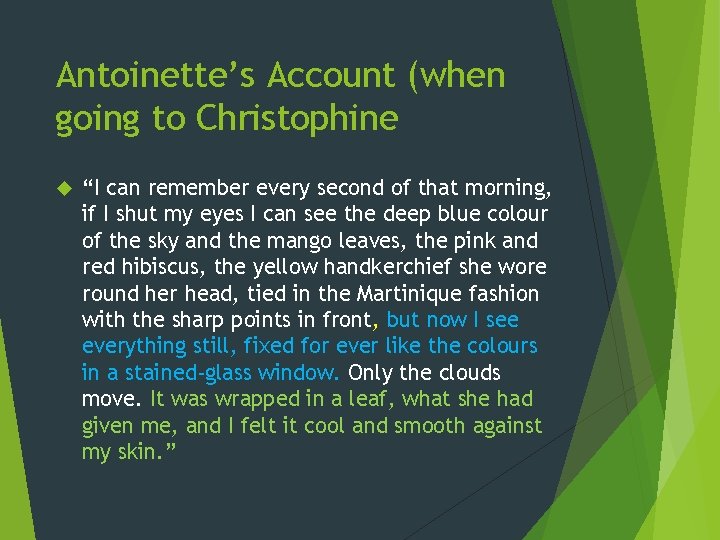 Antoinette’s Account (when going to Christophine “I can remember every second of that morning,