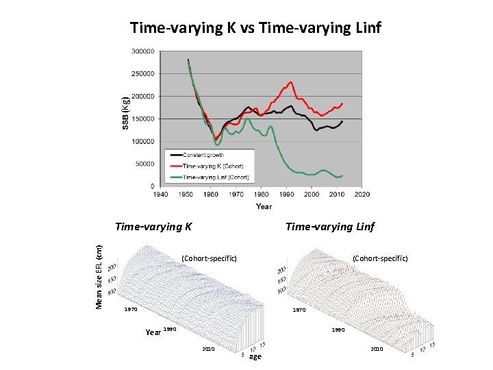 (Kg) Time-varying K vs Time-varying Linf Mean size EFL (cm) Time-varying K Time-varying Linf