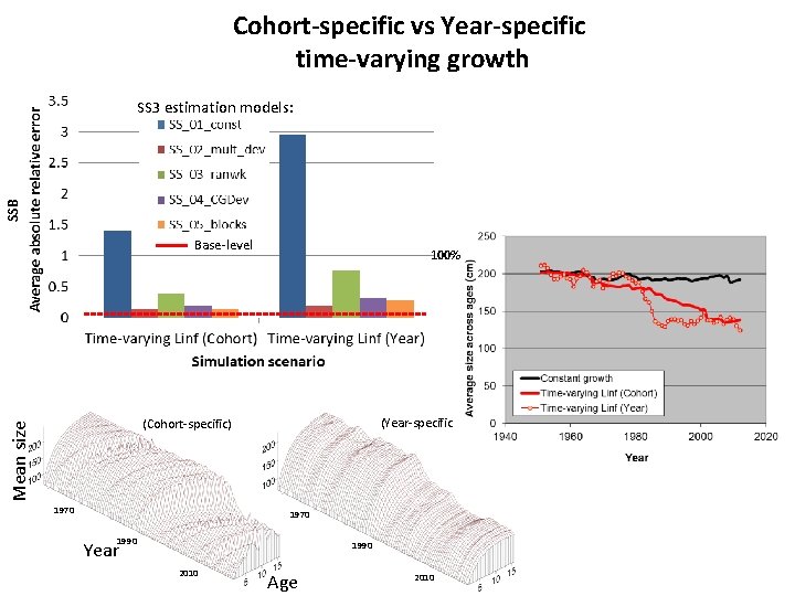Cohort-specific vs Year-specific time-varying growth SSB SS 3 estimation models: Base‐level 100% (Year‐specific) Mean