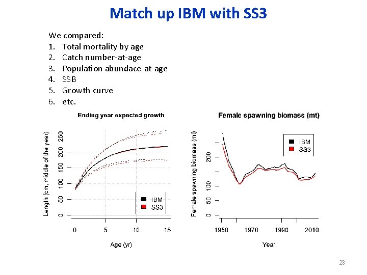 Match up IBM with SS 3 We compared: 1. Total mortality by age 2.