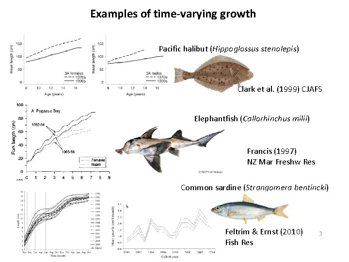 Examples of time-varying growth Pacific halibut (Hippoglossus stenolepis) Clark et al. (1999) CJAFS Elephantfish