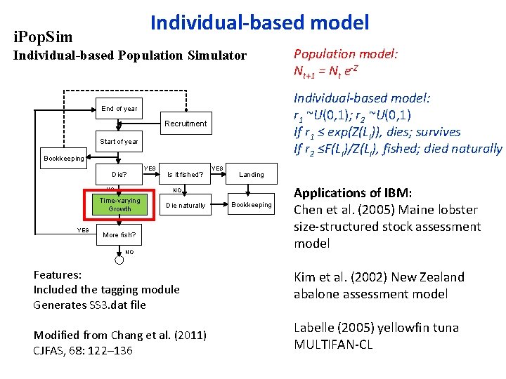 Individual-based model i. Pop. Sim Individual-based Population Simulator Individual-based model: r 1 ~U(0, 1);