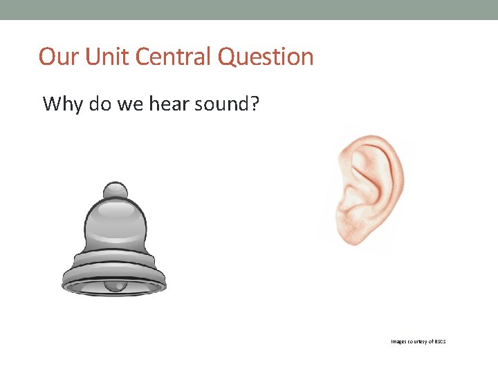 Our Unit Central Question Why do we hear sound? Images courtesy of BSCS 