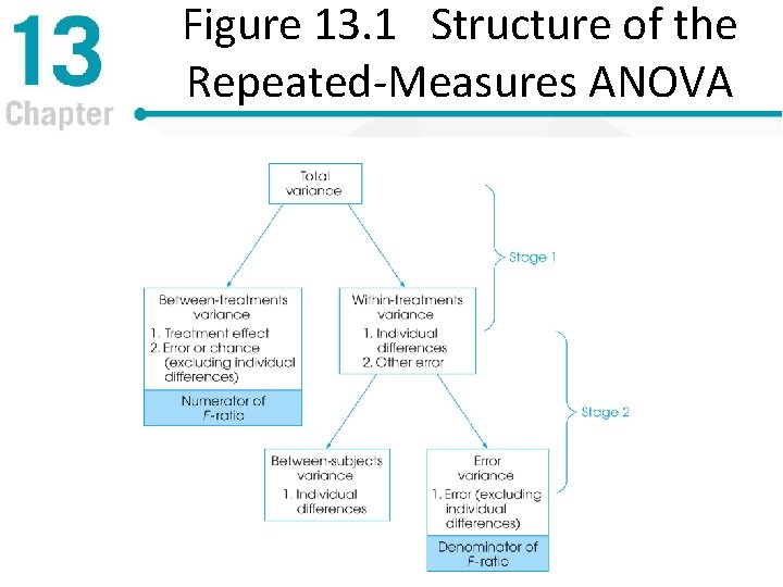 Figure 13. 1 Structure of the Repeated-Measures ANOVA 