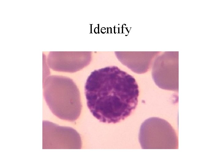 Identify 