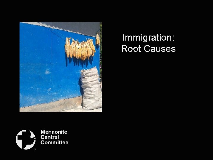 Immigration: Root Causes 