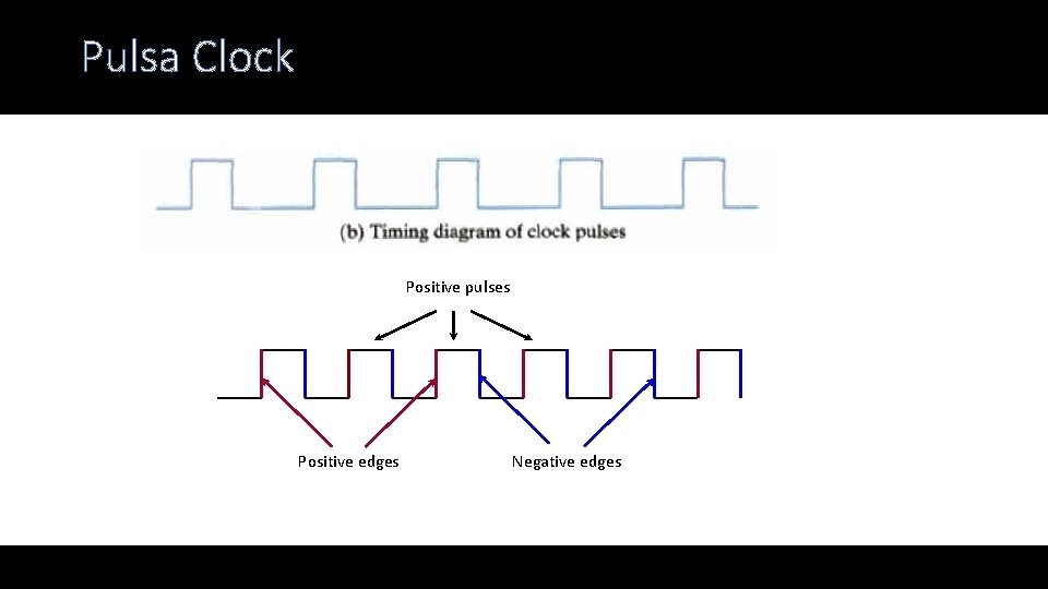 Pulsa Clock Positive pulses Positive edges Negative edges 