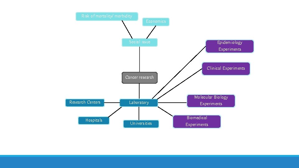 Risk of mortality/ morbidity Economics Social issue Epidemiology Experiments Clinical Experiments Cancer research Research