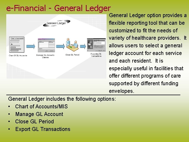 e-Financial - General Ledger option provides a flexible reporting tool that can be customized