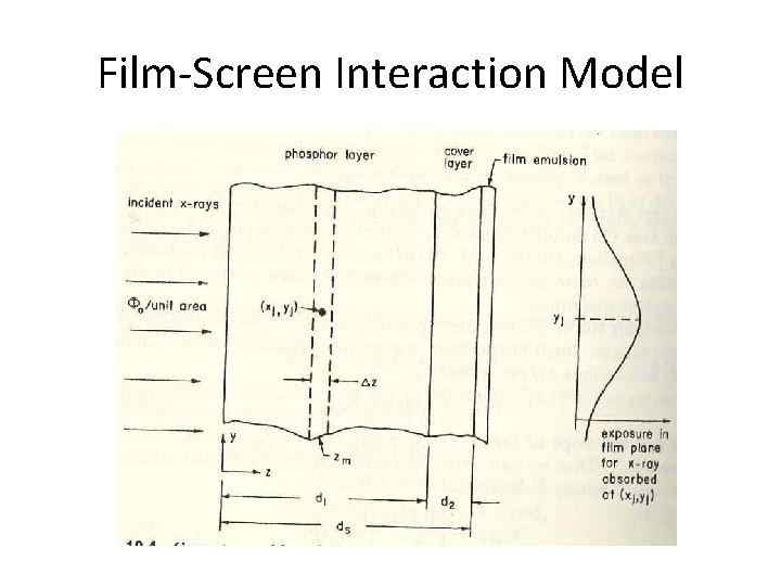 Film-Screen Interaction Model 