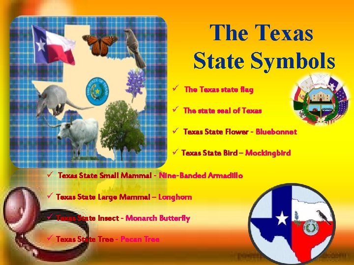 The Texas State Symbols ü The Texas state flag ü The state seal of