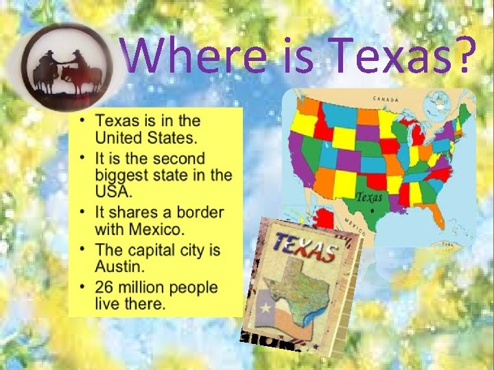 Where is Texas? 