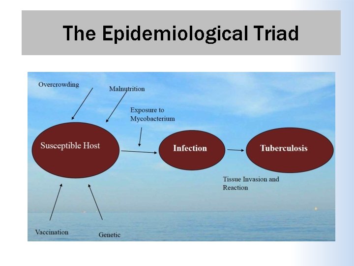 The Epidemiological Triad 
