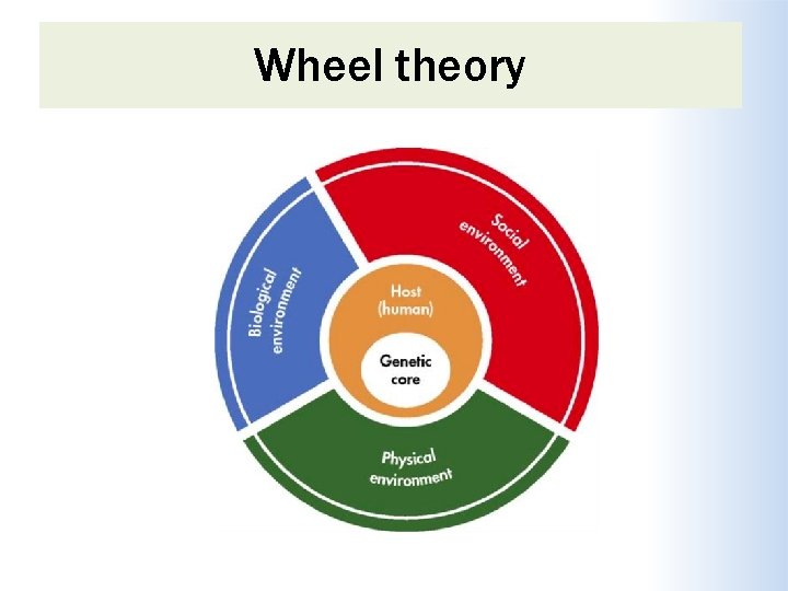 Wheel theory 