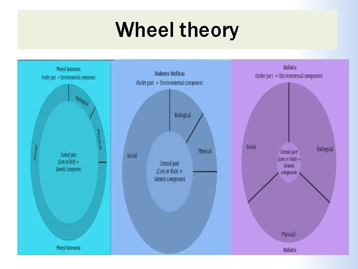 Wheel theory 