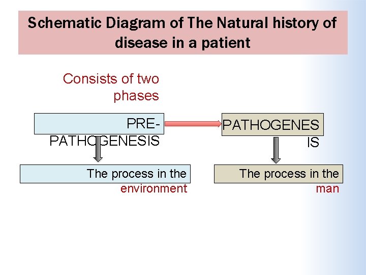 Schematic Diagram of The Natural history of disease in a patient Consists of two