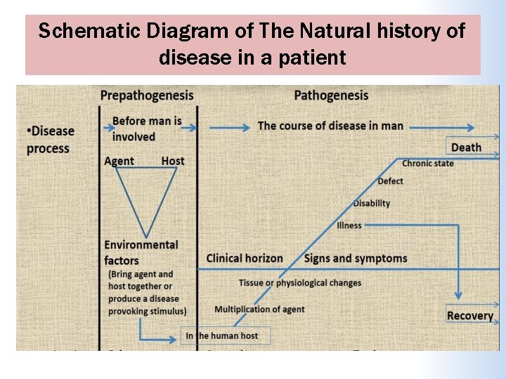 Schematic Diagram of The Natural history of disease in a patient 