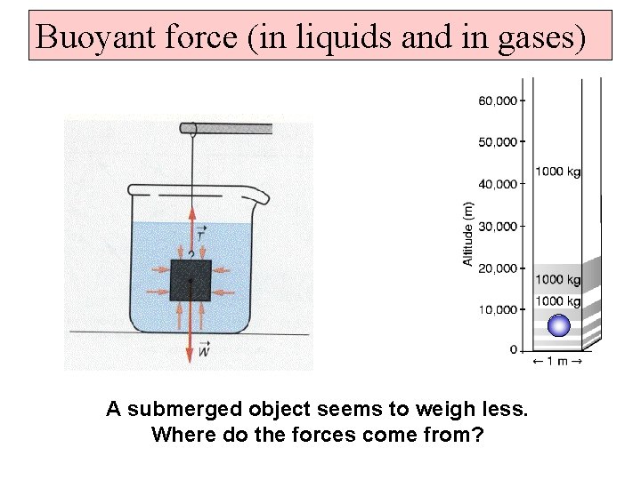 Buoyant force (in liquids and in gases) A submerged object seems to weigh less.