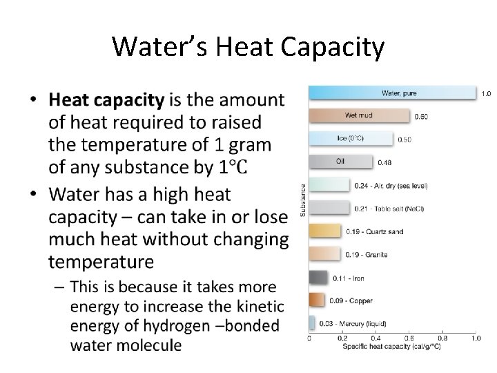 Water’s Heat Capacity • 