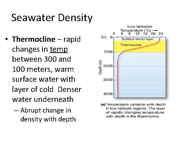 Seawater Density • Thermocline – rapid changes in temp between 300 and 100 meters, Seawater Density • Thermocline – rapid changes in temp between 300 and 100 meters,