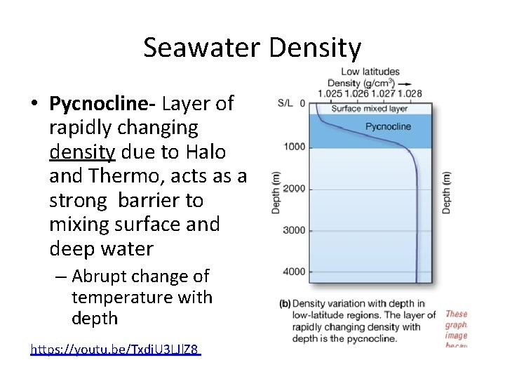 Seawater Density • Pycnocline- Layer of rapidly changing density due to Halo and Thermo, Seawater Density • Pycnocline- Layer of rapidly changing density due to Halo and Thermo,