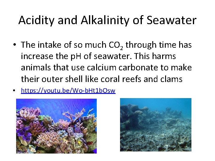 Acidity and Alkalinity of Seawater • The intake of so much CO 2 through