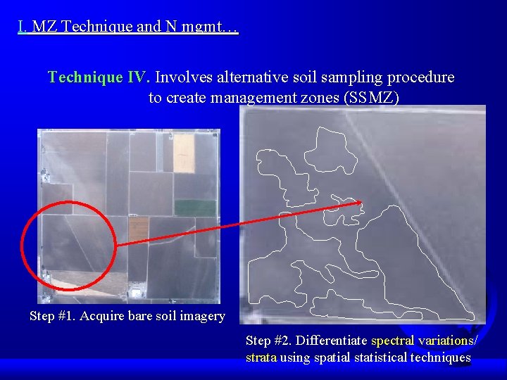 I. MZ Technique and N mgmt… Technique IV. Involves alternative soil sampling procedure to