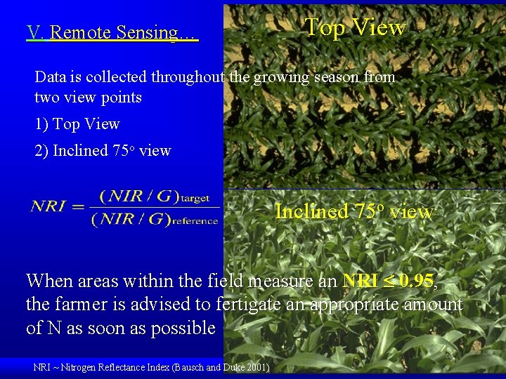 V. Remote Sensing… Top View Data is collected throughout the growing season from two