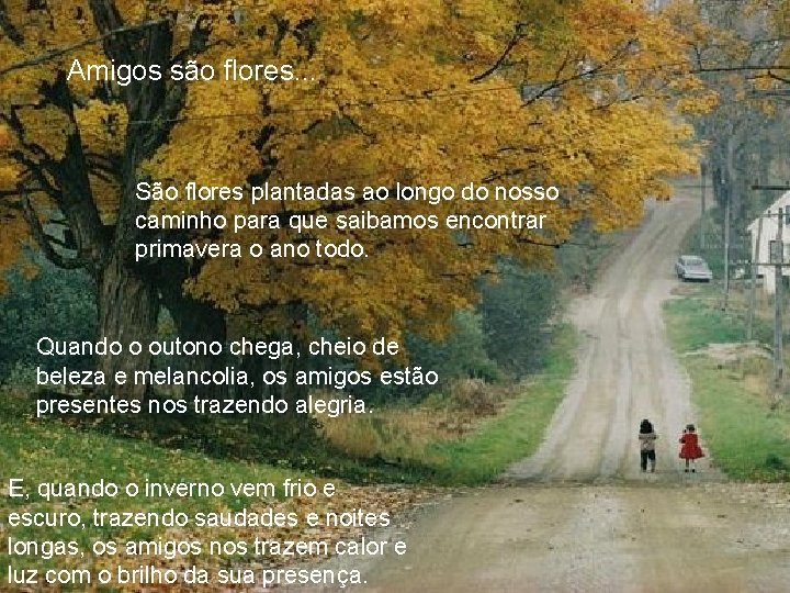 Amigos são flores. . . São flores plantadas ao longo do nosso caminho para Amigos são flores. . . São flores plantadas ao longo do nosso caminho para