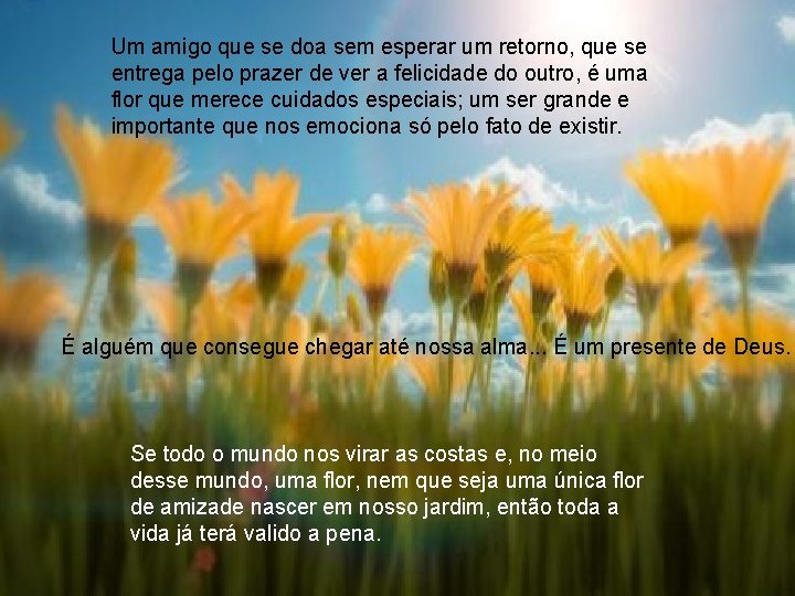 Um amigo que se doa sem esperar um retorno, que se entrega pelo prazer Um amigo que se doa sem esperar um retorno, que se entrega pelo prazer