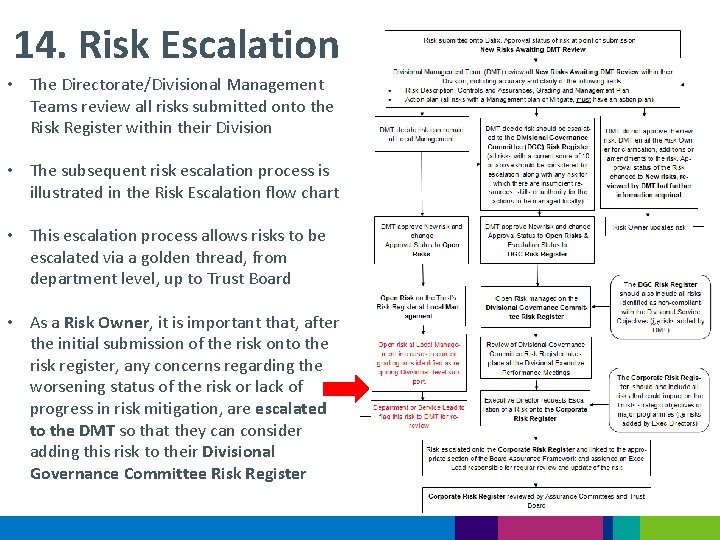 14. Risk Escalation • The Directorate/Divisional Management Teams review all risks submitted onto the