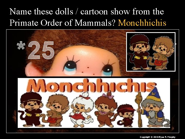 Name these dolls / cartoon show from the Primate Order of Mammals? Monchhichis *25