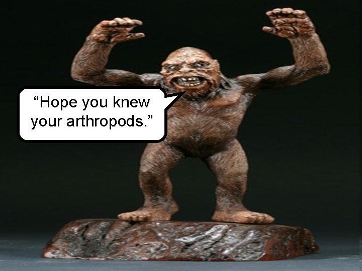 “Hope you knew your arthropods. ” 