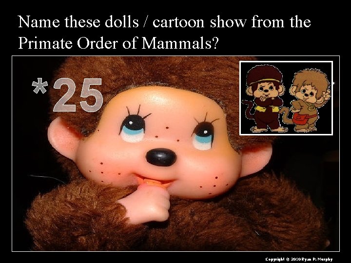 Name these dolls / cartoon show from the Primate Order of Mammals? *25 Copyright