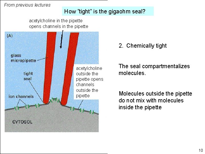 From previous lectures How ”tight” is the gigaohm seal? acetylcholine in the pipette opens