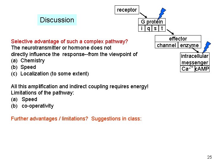 receptor Discussion G protein i q s t Selective advantage of such a complex