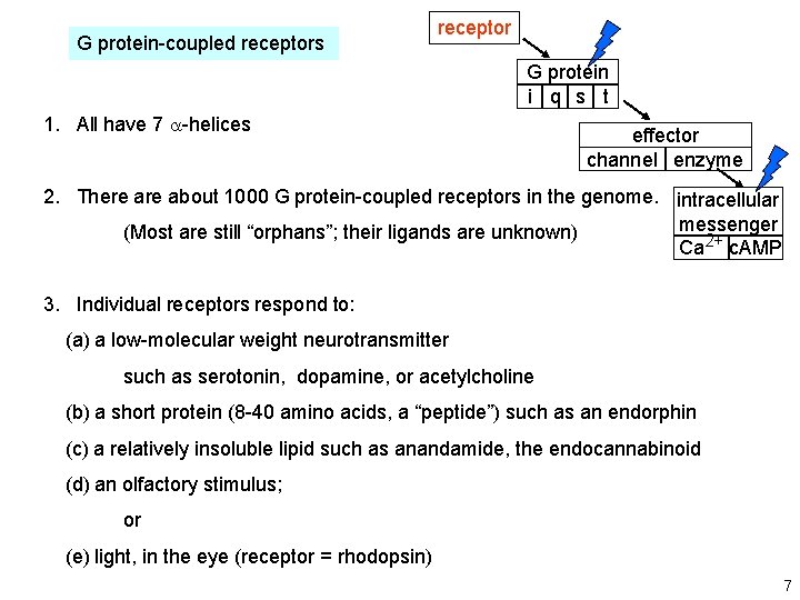 G protein-coupled receptors receptor G protein i q s t 1. All have 7