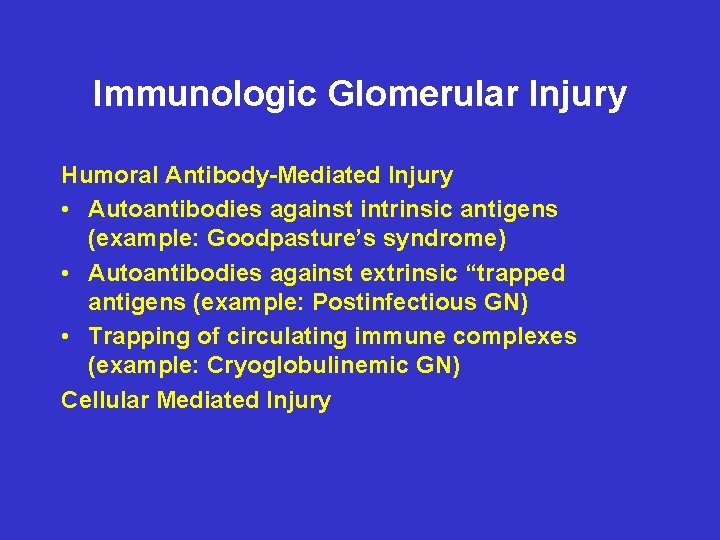 Immunologic Glomerular Injury Humoral Antibody-Mediated Injury • Autoantibodies against intrinsic antigens (example: Goodpasture’s syndrome)