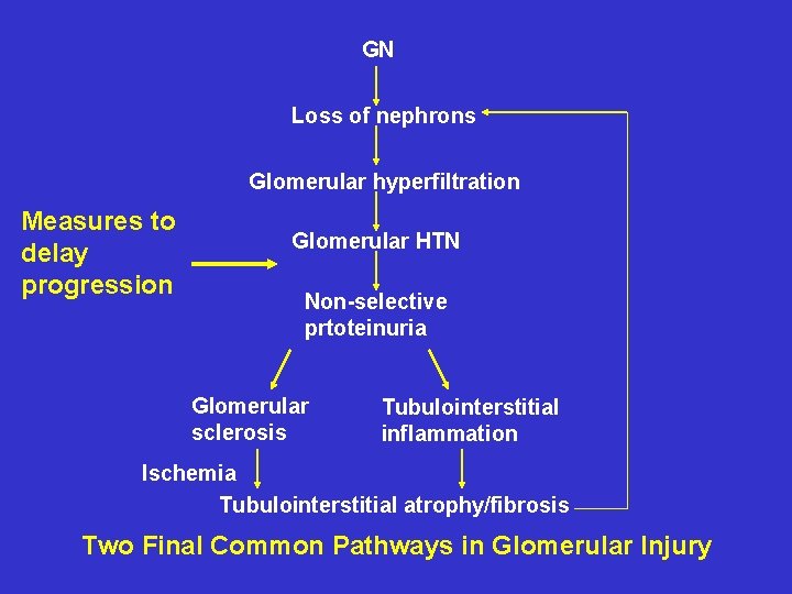 GN Loss of nephrons Glomerular hyperfiltration Measures to delay progression Glomerular HTN Non-selective prtoteinuria