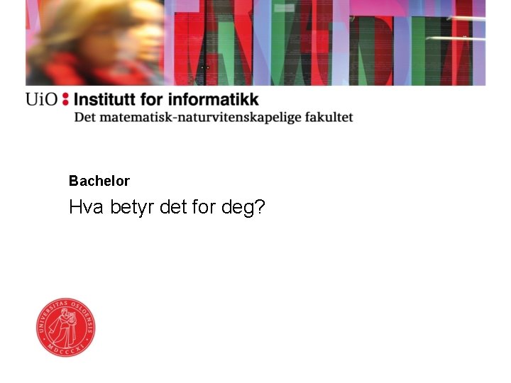 Bachelor Hva betyr det for deg? 