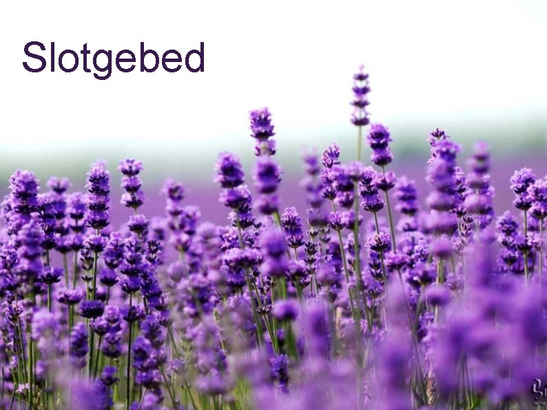 Slotgebed 