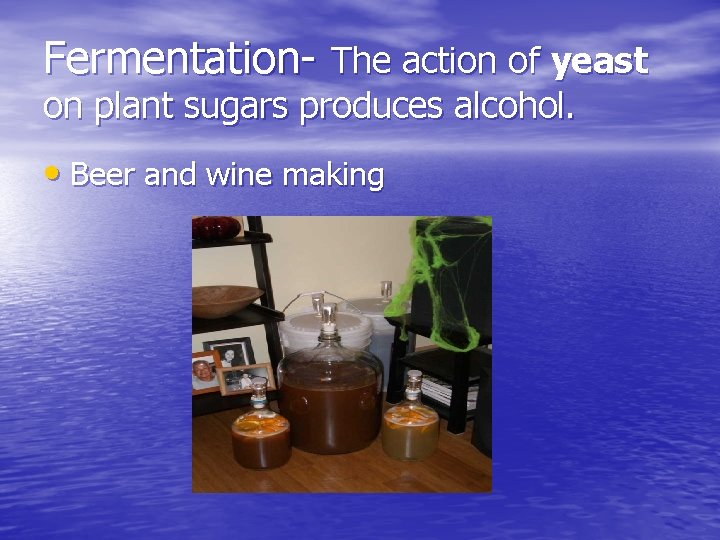 Fermentation- The action of yeast on plant sugars produces alcohol. • Beer and wine