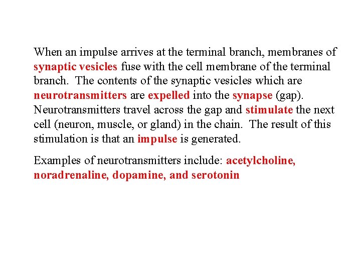When an impulse arrives at the terminal branch, membranes of synaptic vesicles fuse with