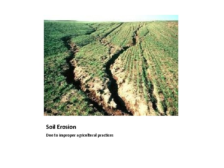 Soil Erosion Due to improper agricultural practices 
