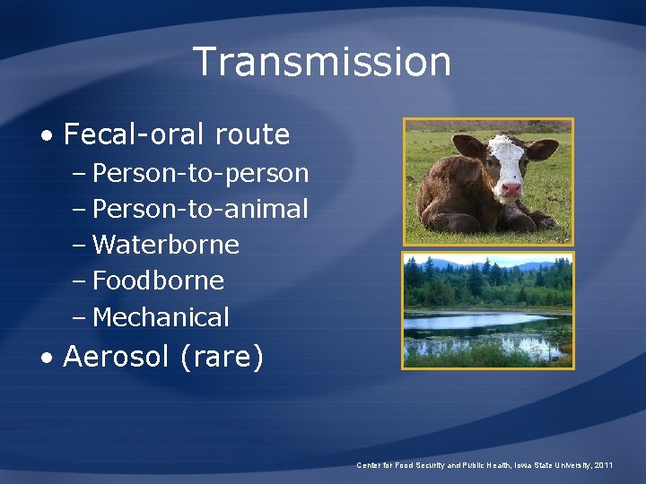 Transmission • Fecal-oral route – Person-to-person – Person-to-animal – Waterborne – Foodborne – Mechanical