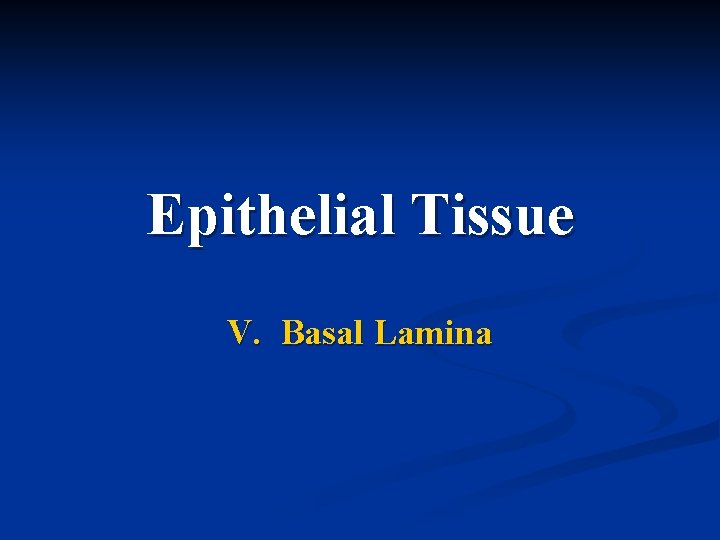 Epithelial Tissue V. Basal Lamina 